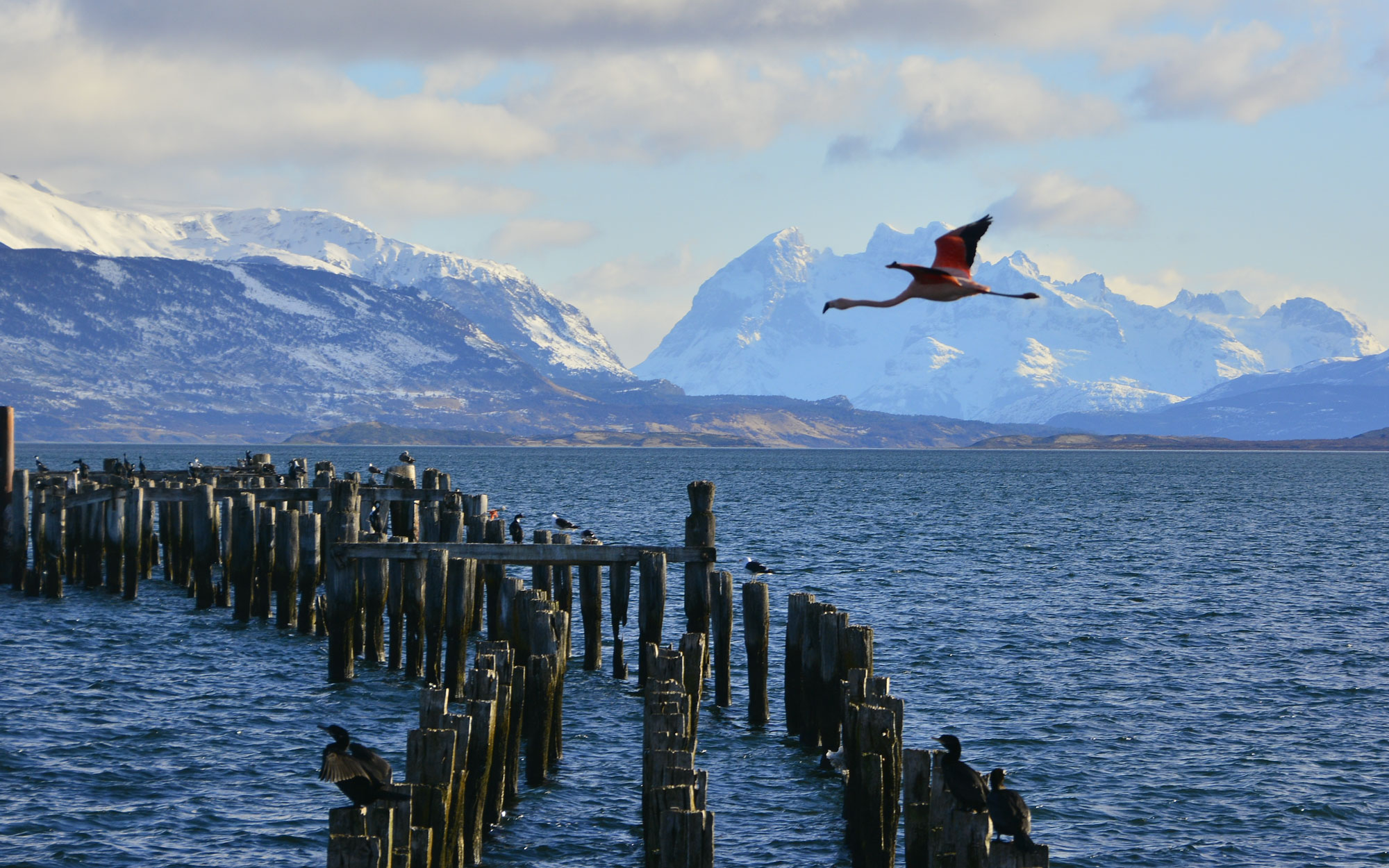PUERTO NATALES