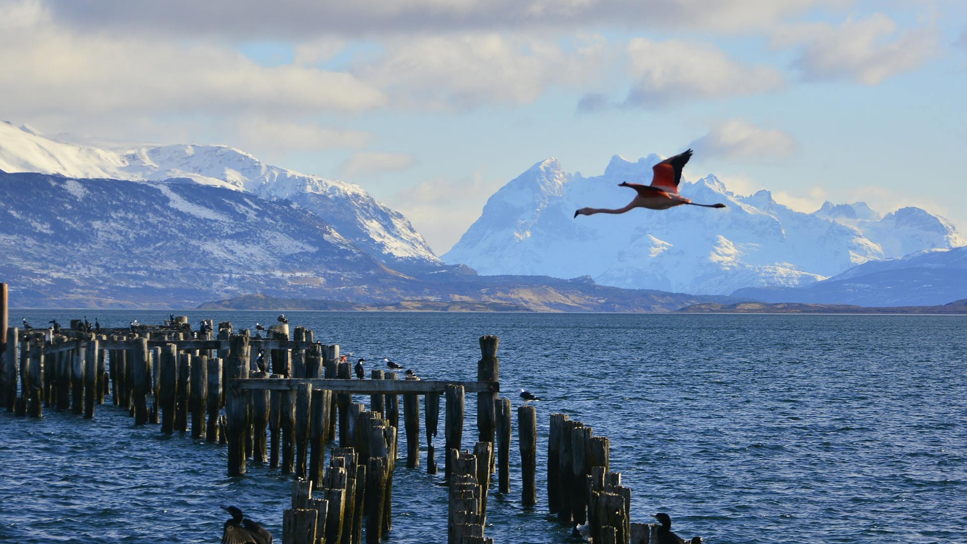 heroimage puerto natales 1