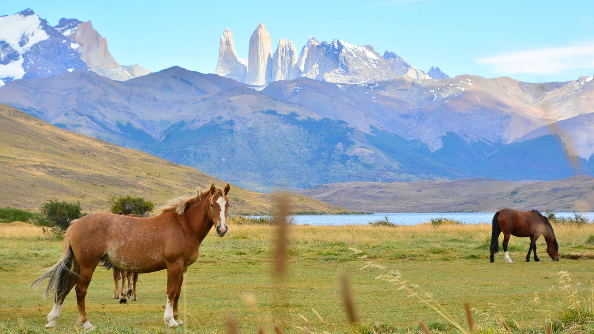 heroimage torres del paine 2