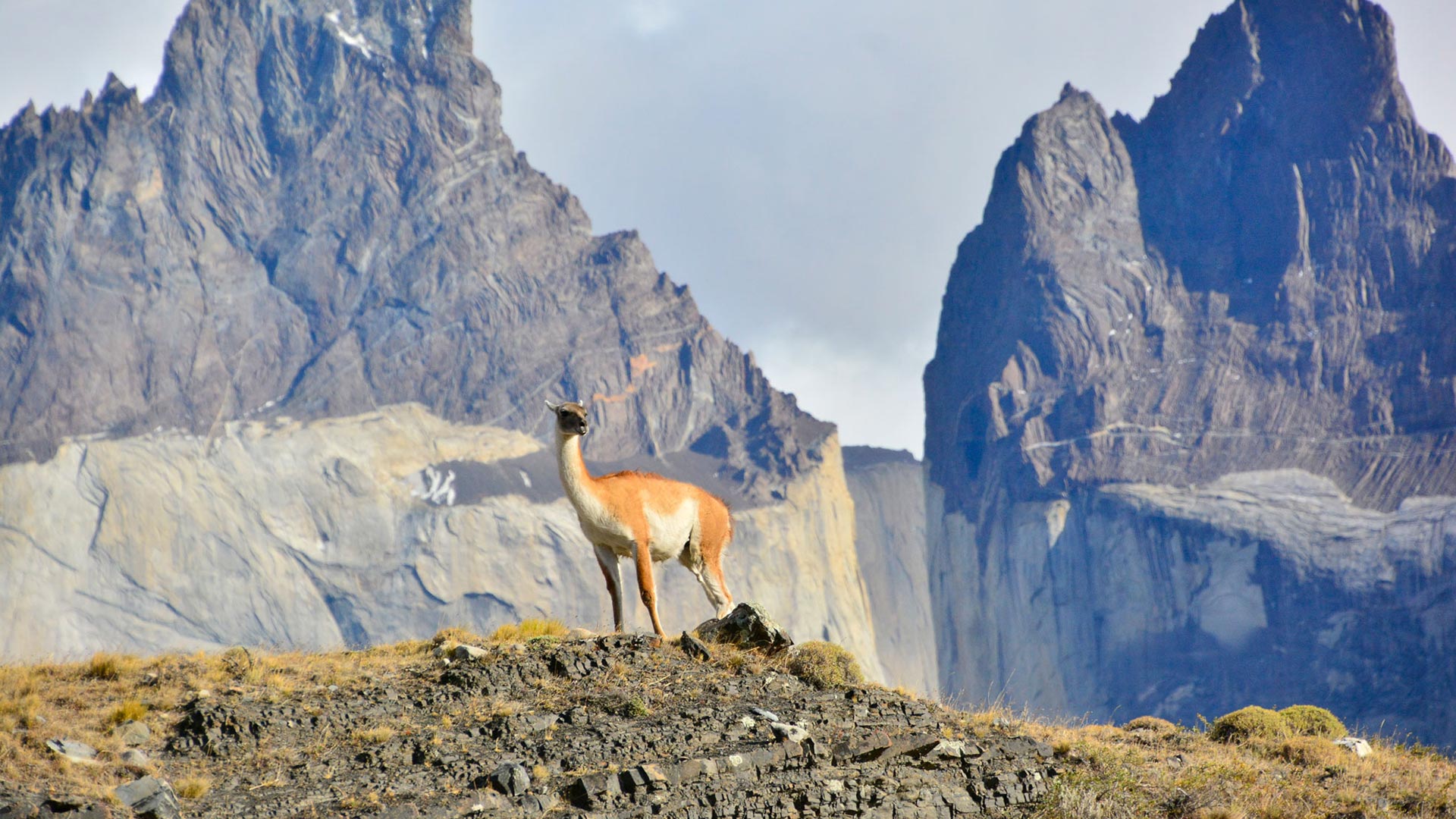 heroimage torres del paine 6